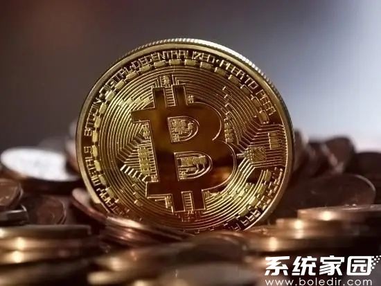 数字资产分析图表