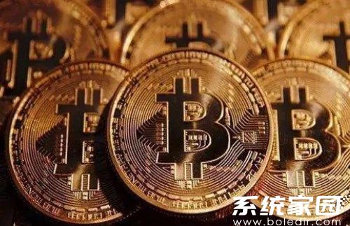 rose币区块链应用界面