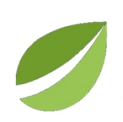 全球主流数字资产交易平台Bitfinex功能