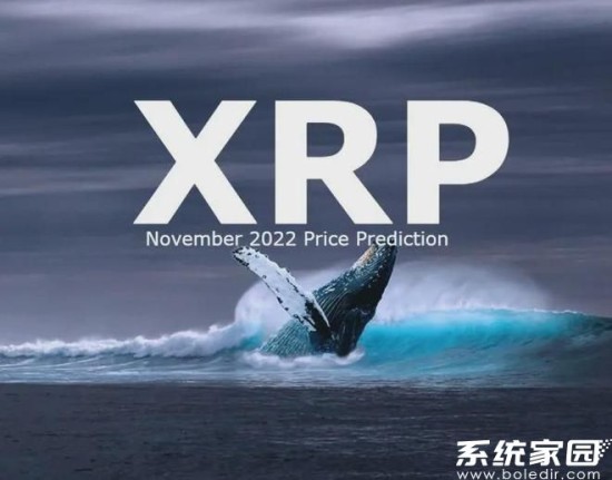 XRP钱包操作示意图