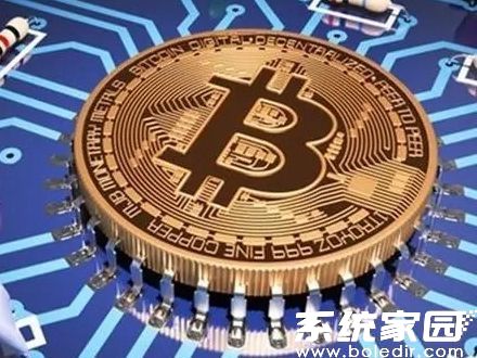 StarNetwork数据可视化界面