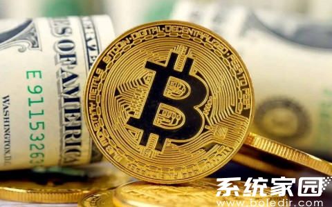 主流数字货币钱包安全排行
