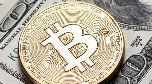 avive官网最新动态与前景分析