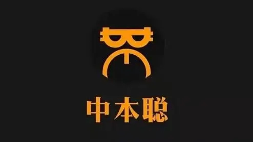 中本聪钱包数据恢复操作示意图