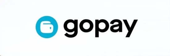 GOPAY钱包账户异常984解决方法全解析