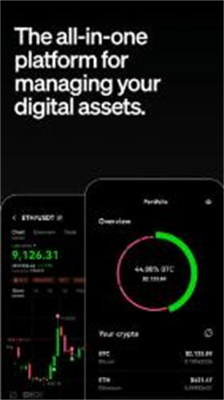 bitbullsu4ea4u6613u6240appu5b98u65b9u624bu673au7248
