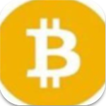BSV钱包苹果版数字资产管理首选工具