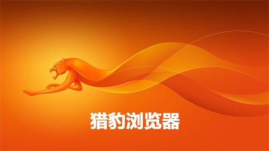 猎豹浏览器优势解析与功能详解