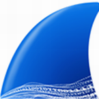 Wireshark免安装版网络分析工具详解v3.6.6 最新版