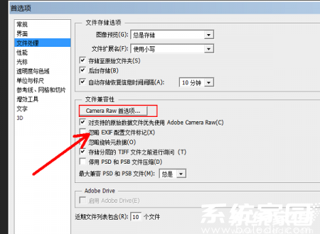 Camera Raw设置界面示意图