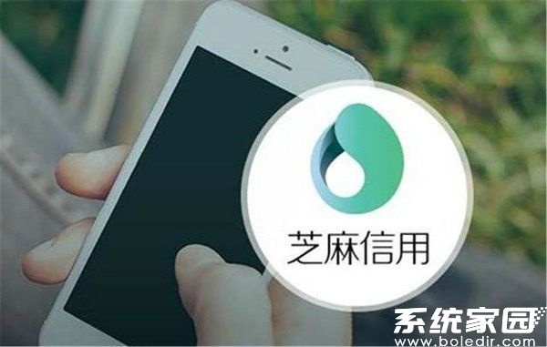 支付宝信用生活场景展示