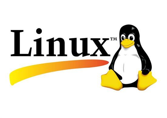 Linux系统路径定位示意图