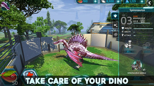 u6050u9f99u9a6fu517du5e08