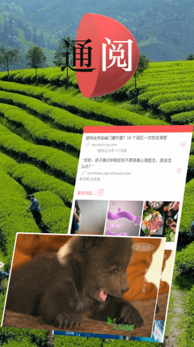 知识分类示意图