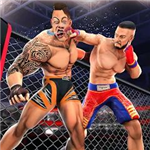 武术格斗全流派免费解锁版