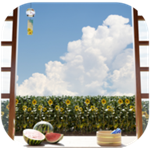 夏日时光解谜游戏完整内容