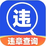 全国车辆违章查询与车务办理平台v1.0.3 安卓版
