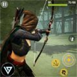 忍者射手动作冒险免费版下载v3.6 无限钻石版