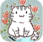 花香猫语经营治愈时光