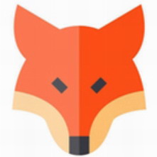 Foxtable数据管理工具高效办公方案