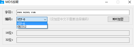 编码选项