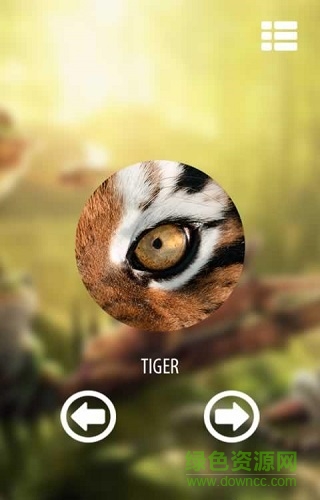 u89c6u89c9u52a8u7269u6a21u62dfu5668u624bu673au7248(Vision animal simulator)