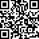 飞行者兄弟2中文版双人协作免费畅玩